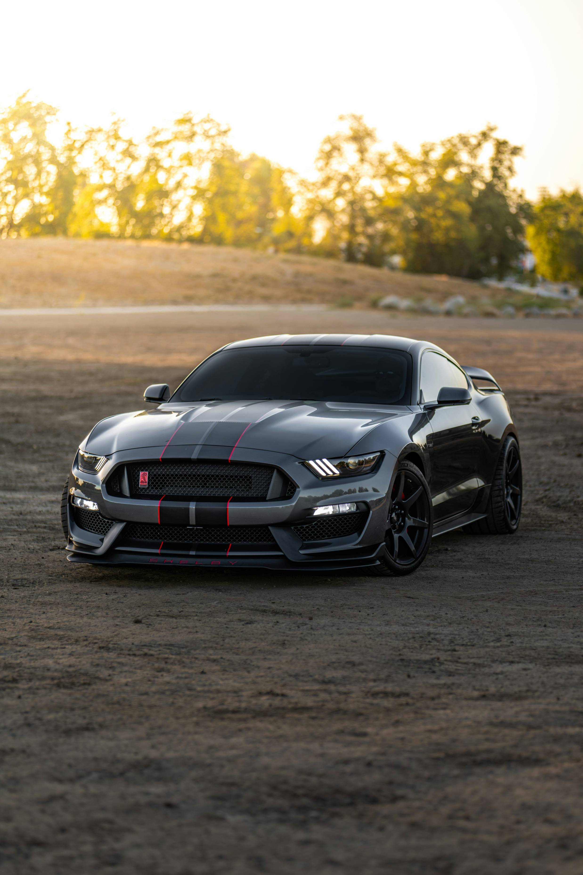 Premium exterior car detailing with paint correction